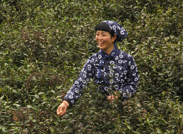 直播跳舞3